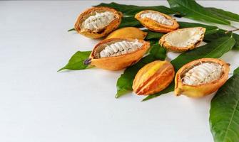 Halbe Kakaoschoten und Kakaofrucht mit Kakaoblatt auf weißem Holzhintergrund foto