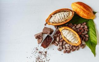 halbe Kakaoschoten mit Kakaofrucht und braunem Kakaopulver foto