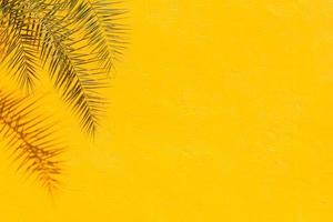 Lebendiger gelber Stuckwandhintergrund und tropische Palmblattanlage mit Kopienraum. gelb gestrichene Zementwand Hintergrundtextur. foto