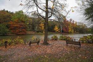 Wald und See im Herbst foto