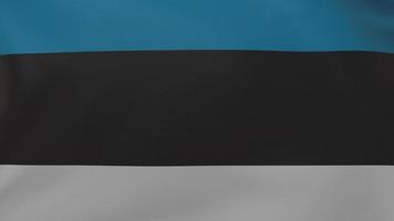 Textur der estnischen Flagge foto