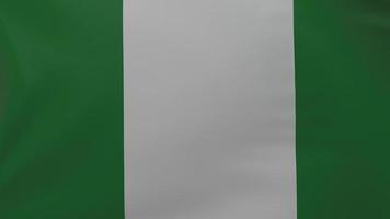 Nigeria-Flagge Textur foto