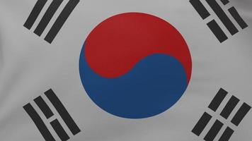 Textur der südkoreanischen Flagge foto