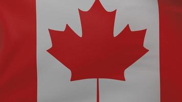 Textur der kanadischen Flagge foto