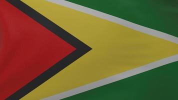 Guyana-Flagge Textur foto