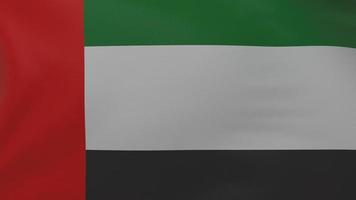 Flaggentextur der Vereinigten Arabischen Emirate foto