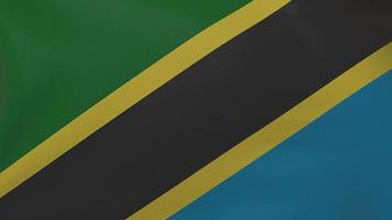 Textur der tansanischen Flagge foto