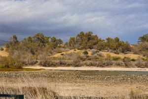 Oase in den Dünen von Maspalomas foto