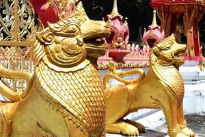goldene Löwen des thailändischen Tempels