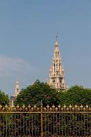 wien rathaus - rathaus foto