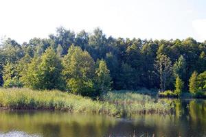 Blick auf den schönen Fluss und Wald foto