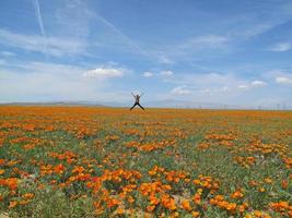 Mann, der in Wildblumenfeld, Antilopental, Kalifornien springt