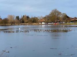 ein blick auf den nantwich lake in cheshire im sommer foto