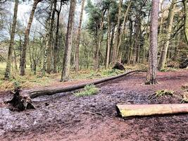 ein Blick auf die Landschaft von Cheshire in Peckforton Hills foto