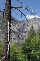 wunderschöne Landschaft des Yosemite-Nationalparks foto