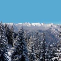 schneebedeckte Kiefern mit bewölkter Bergkette im Hintergrund foto