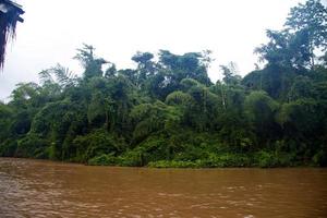 Fluss im Dschungel, Thailand foto