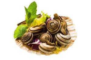 Schnecke mit Spargel, Rosmarin, Thymus und Tomate foto