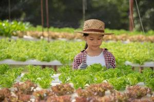 asiatisches Kind, das Hydroponik hält. kleines Mädchen in einem Gewächshaus, das Gemüse erntet. Kind mit Salat. Hydroponische Heimpflanzung und Landwirtschaft. junge weibliche Gartenarbeit Blattgemüse. selektiver Fokus. foto