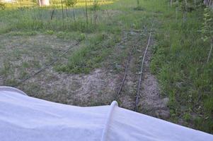 Gemüseanbau im Garten im Dorf foto