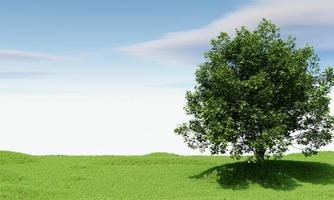 großer Baum mit Hintergrund des blauen Himmels. Natur- und Landschaftskonzept. 3D-Darstellungswiedergabe foto