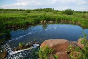 ein ruhiger Fluss in einem schönen Sommerwald. foto