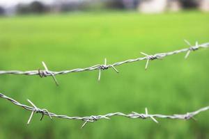 Stacheldrahtzaun mit unscharfem Hintergrund auf dem Feld. foto