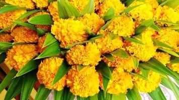 bunt von vielen Ringelblumen im Garten. schönes gelbes Blumenmuster mit Blättern für den Hintergrund. foto