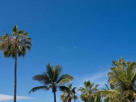 Insel Teneriffa in Spanien foto