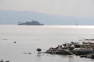 der bodensee in deutschland foto