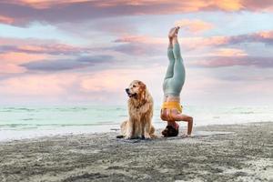 junge frau, die morgens yoga in der nähe ihres hundes macht. gesundes aktives lebensstilkonzept. Entspannung mit einem Haustier. foto