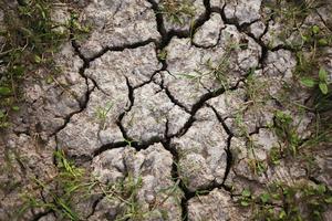 rissiger Bodenhintergrund, trockener Boden durch Austrocknung und heißes Wetter, sehr kleine Gräser auf dem Boden, die versuchen zu überleben. foto