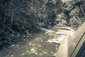 fahren auf schotterweg straße in tulum dschungel natur mexiko. foto