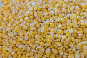 Gelber Maissamen ist ein Gemüse, das reich an Ballaststoffen, Nährstoffen und Kohlenhydraten ist. foto