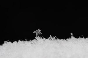 zarte strukturen im schnee auf schwarz foto