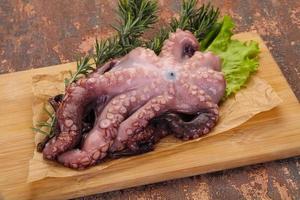 Roher Oktopus bereit zum Kochen foto