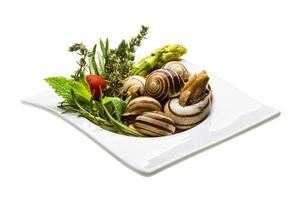 Schnecke mit Spargel, Rosmarin, Thymus und Tomate foto