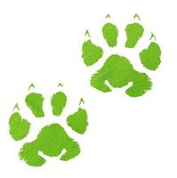 grüner tierischer Fußabdruck foto