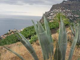 die portugiesische Insel Madeira foto