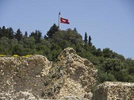 die Stadt Tunis in Tunesien foto