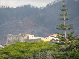 die Insel Madeira foto