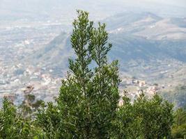 Insel Teneriffa in Spanien foto