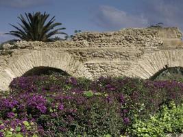 die Stadt Tunis in Tunesien foto