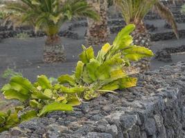 die kanarische insel lanzarote in spanien foto