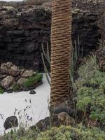 die kanarische insel lanzarote in spanien foto