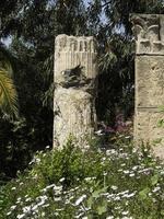 die Stadt Tunis in Tunesien foto