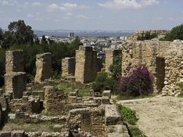 die Stadt Tunis in Tunesien foto