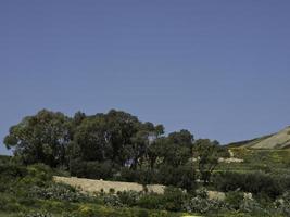 die insel gozo im mittelmeer foto