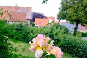 Stadt Tallinn in Estland foto