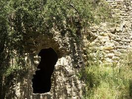 die Stadt Tunis in Tunesien foto